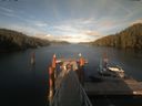 ./images/calvert/dock/20210711/dock20210711_193004.jpg