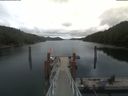 ./images/calvert/dock/20210712/dock20210712_113502.jpg