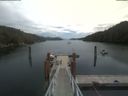 ./images/calvert/dock/20210713/dock20210713_130004.jpg