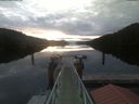 ./images/calvert/dock/20210715/dock20210715_052004.jpg