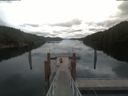 ./images/calvert/dock/20210715/dock20210715_100502.jpg