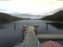 ./images/calvert/dock/20210715/dock20210715_160502.jpg