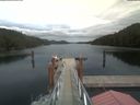 ./images/calvert/dock/20210715/dock20210715_161003.jpg