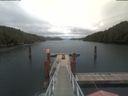 ./images/calvert/dock/20210717/dock20210717_093503.jpg