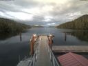 ./images/calvert/dock/20210717/dock20210717_194004.jpg