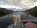 ./images/calvert/dock/20210717/dock20210717_194502.jpg