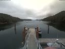./images/calvert/dock/20210801/dock20210801_141503.jpg