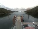 ./images/calvert/dock/20210802/dock20210802_115501.jpg