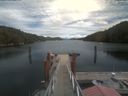 ./images/calvert/dock/20210804/dock20210804_141501.jpg