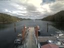 ./images/calvert/dock/20210805/dock20210805_155502.jpg