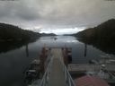 ./images/calvert/dock/20210805/dock20210805_202003.jpg
