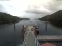 ./images/calvert/dock/20210806/dock20210806_100502.jpg