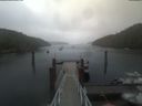 ./images/calvert/dock/20210815/dock20210815_114504.jpg