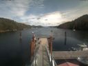 ./images/calvert/dock/20210816/dock20210816_144003.jpg