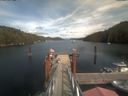./images/calvert/dock/20210816/dock20210816_154004.jpg
