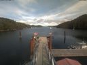 ./images/calvert/dock/20210816/dock20210816_155502.jpg