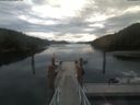 ./images/calvert/dock/20210825/dock20210825_114004.jpg