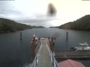 ./images/calvert/dock/20210825/dock20210825_184504.jpg