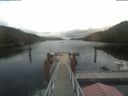 ./images/calvert/dock/20210827/dock20210827_141502.jpg