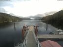 ./images/calvert/dock/20210827/dock20210827_143001.jpg