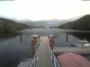 ./images/calvert/dock/20210827/dock20210827_172002.jpg