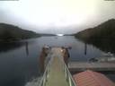 ./images/calvert/dock/20210901/dock20210901_202504.jpg
