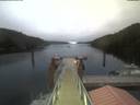 ./images/calvert/dock/20210901/dock20210901_203004.jpg