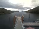 ./images/calvert/dock/20210903/dock20210903_174502.jpg