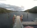 ./images/calvert/dock/20210903/dock20210903_183501.jpg