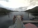 ./images/calvert/dock/20210905/dock20210905_114003.jpg