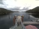 ./images/calvert/dock/20210905/dock20210905_152502.jpg