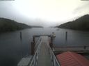 ./images/calvert/dock/20210906/dock20210906_140502.jpg