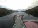 ./images/calvert/dock/20210907/dock20210907_140004.jpg