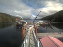 ./images/calvert/dock/20210907/dock20210907_150502.jpg