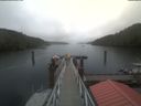 ./images/calvert/dock/20210908/dock20210908_134502.jpg