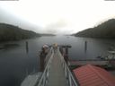 ./images/calvert/dock/20210908/dock20210908_135002.jpg