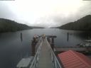 ./images/calvert/dock/20210908/dock20210908_141501.jpg