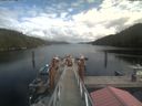 ./images/calvert/dock/20210911/dock20210911_142001.jpg