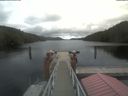 ./images/calvert/dock/20210919/dock20210919_134002.jpg
