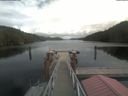 ./images/calvert/dock/20210919/dock20210919_141003.jpg