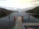 ./images/calvert/dock/20210919/dock20210919_171002.jpg