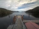 ./images/calvert/dock/20210924/dock20210924_151503.jpg