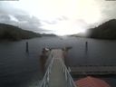 ./images/calvert/dock/20210927/dock20210927_125503.jpg