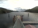 ./images/calvert/dock/20210929/dock20210929_112001.jpg