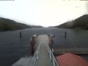 ./images/calvert/dock/20210929/dock20210929_183502.jpg
