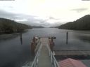 ./images/calvert/dock/20210930/dock20210930_122502.jpg