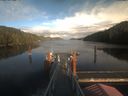 ./images/calvert/dock/20210930/dock20210930_171502.jpg