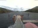 ./images/calvert/dock/20211021/dock20211021_111003.jpg