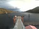 ./images/calvert/dock/20220129/dock20220129_132001.jpg