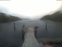 ./images/calvert/dock/20220202/dock20220202_085502.jpg